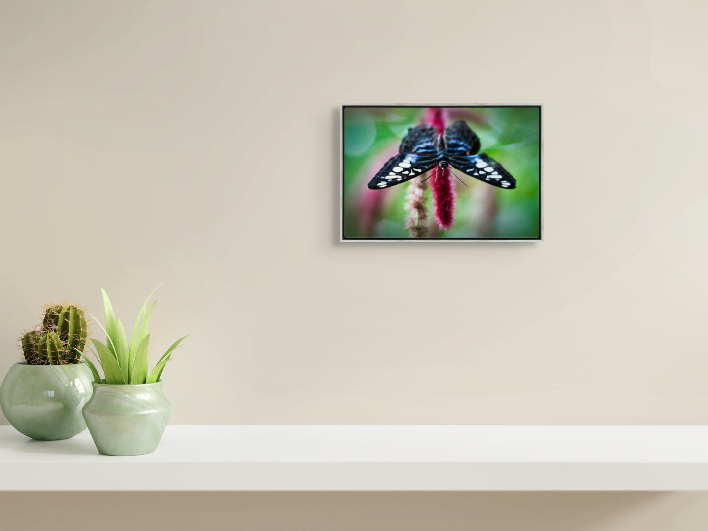 Butterfly No. 01