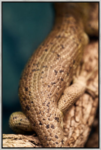 Reptile on a Branch