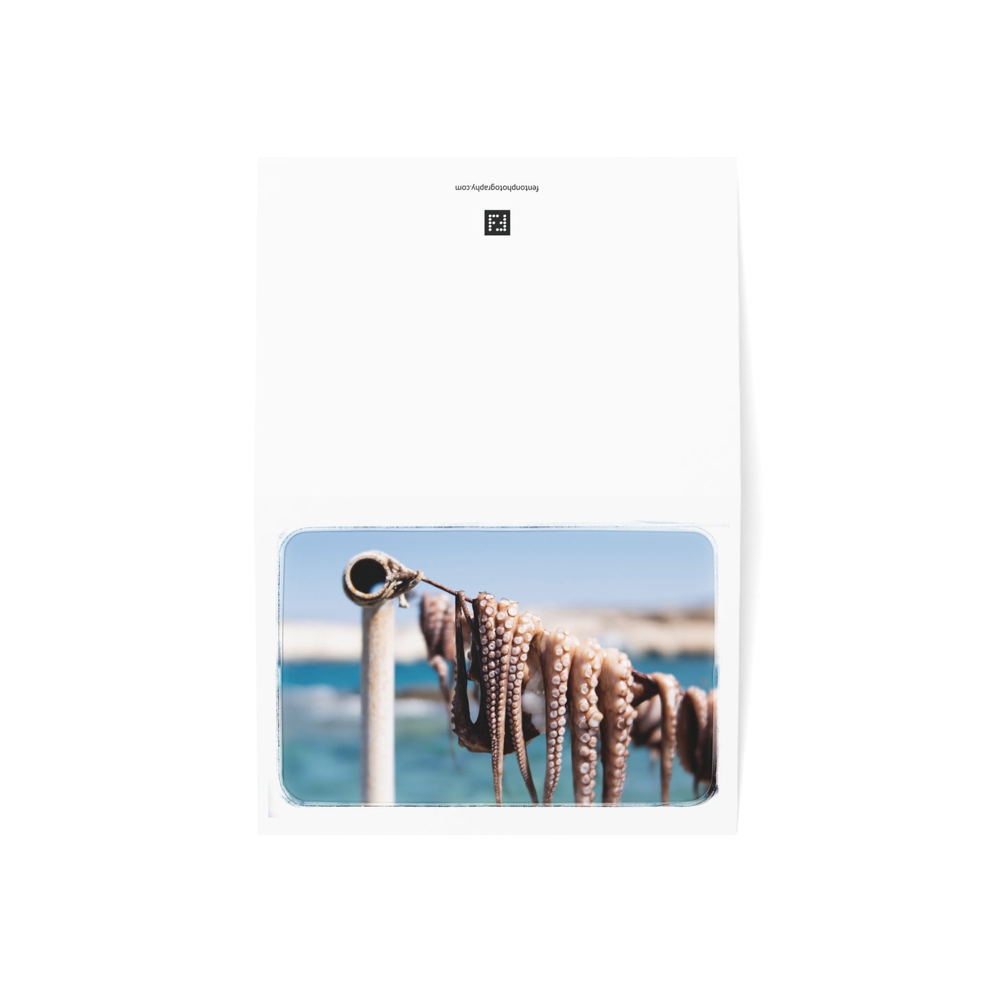 "Octopus Drying in the Sun" 5x7 Greeting Cards (10pcs)