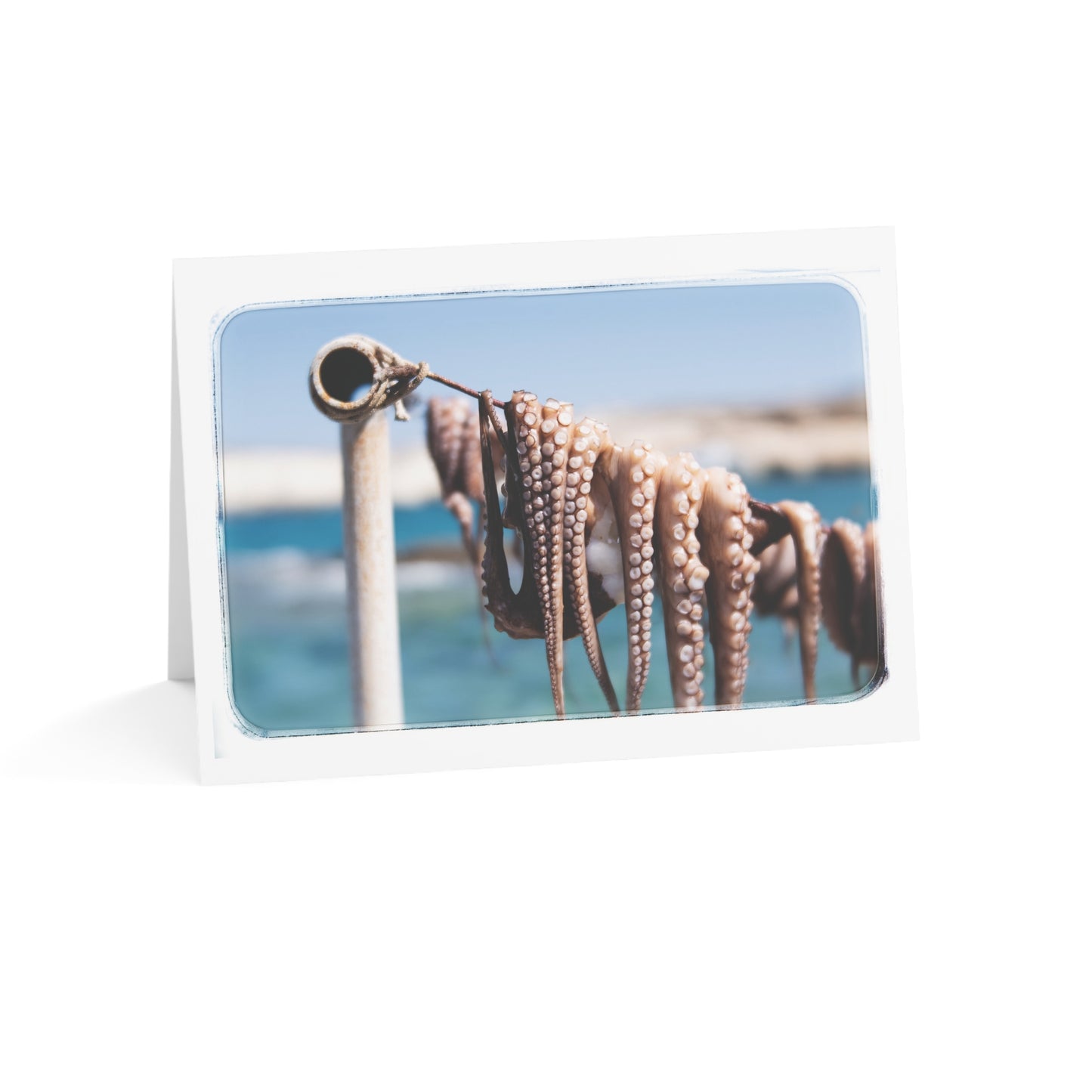 "Octopus Drying in the Sun" 5x7 Greeting Cards (10pcs)