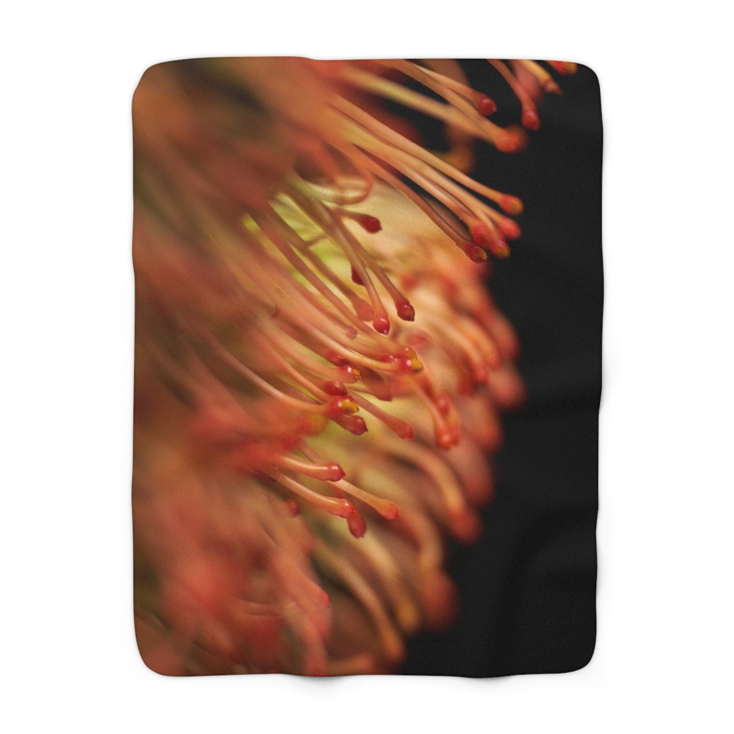 "Pincushion Protea No. 02" Sherpa Fleece Blanket