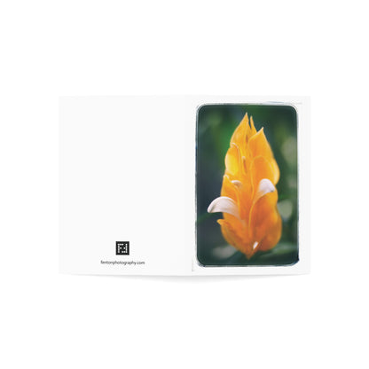 "Pachystachys Lutea No. 01" 5x7 Greeting Cards (10pcs)