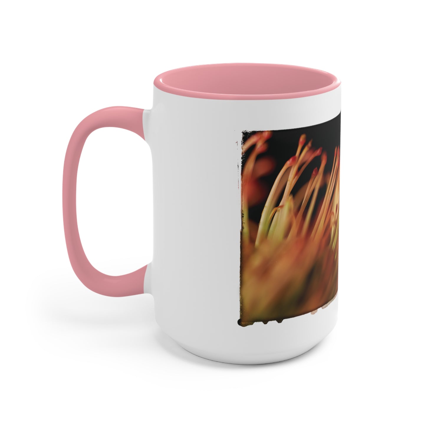 "Pincushion Protea No. 02" Accent Mug