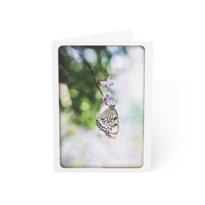 "Butterfly No. 04" 5x7 Greeting Cards (10pcs)