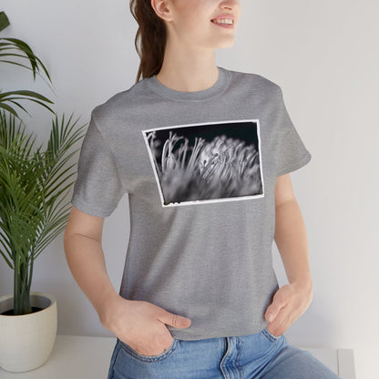 "Pincushion Protea No. 02 (B&W)" Unisex Jersey Short Sleeve Tee