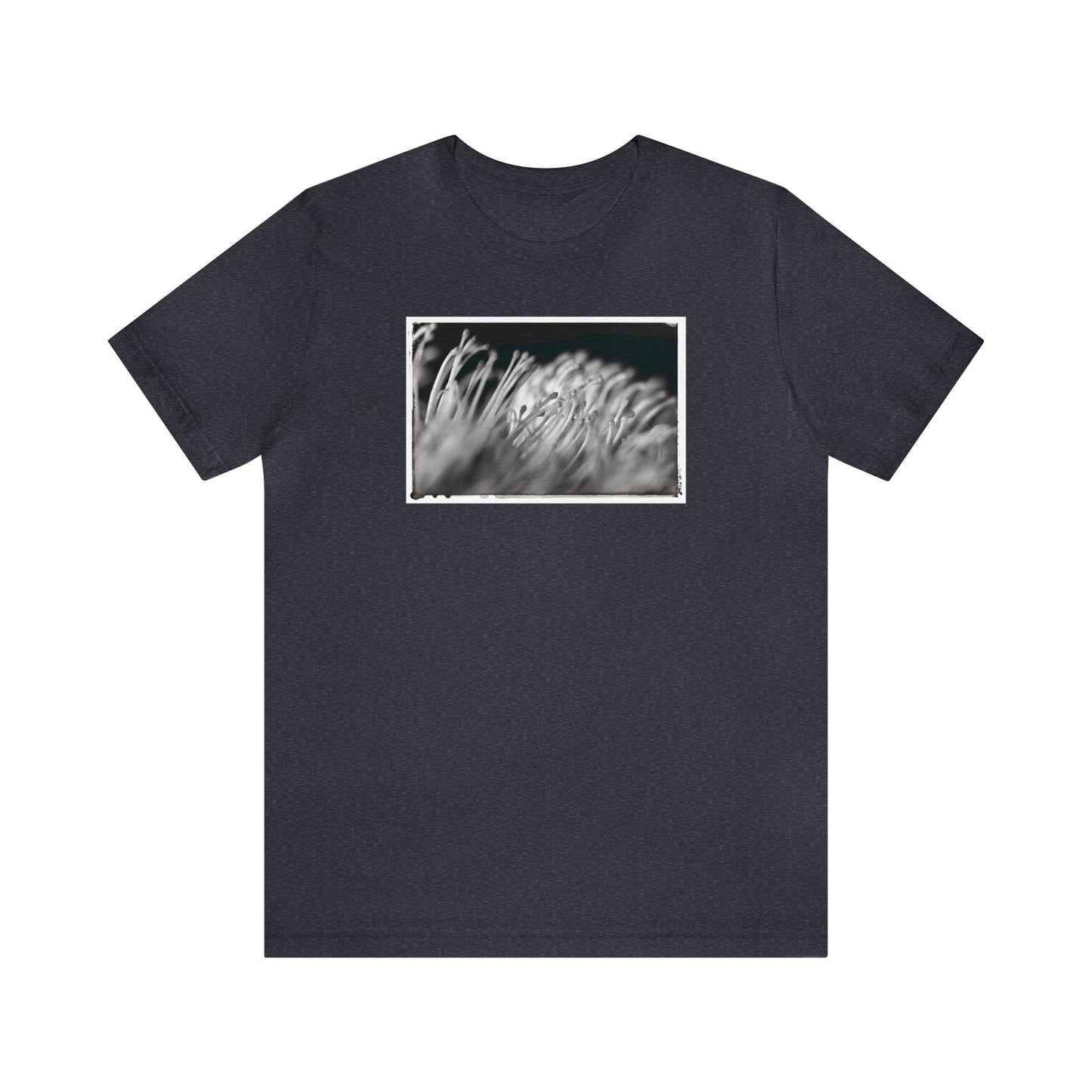 "Pincushion Protea No. 02 (B&W)" Unisex Jersey Short Sleeve Tee