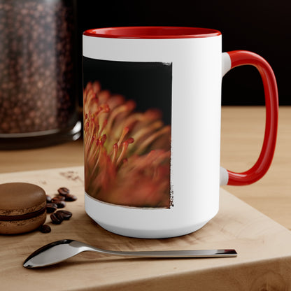 "Pincushion Protea No. 02" Accent Mug