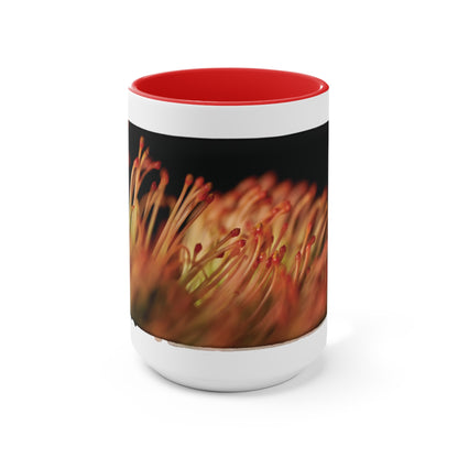 "Pincushion Protea No. 02" Accent Mug