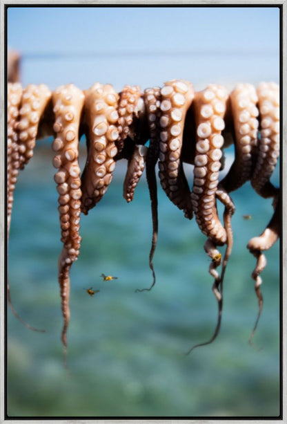 Wasps Feeding on Octopus