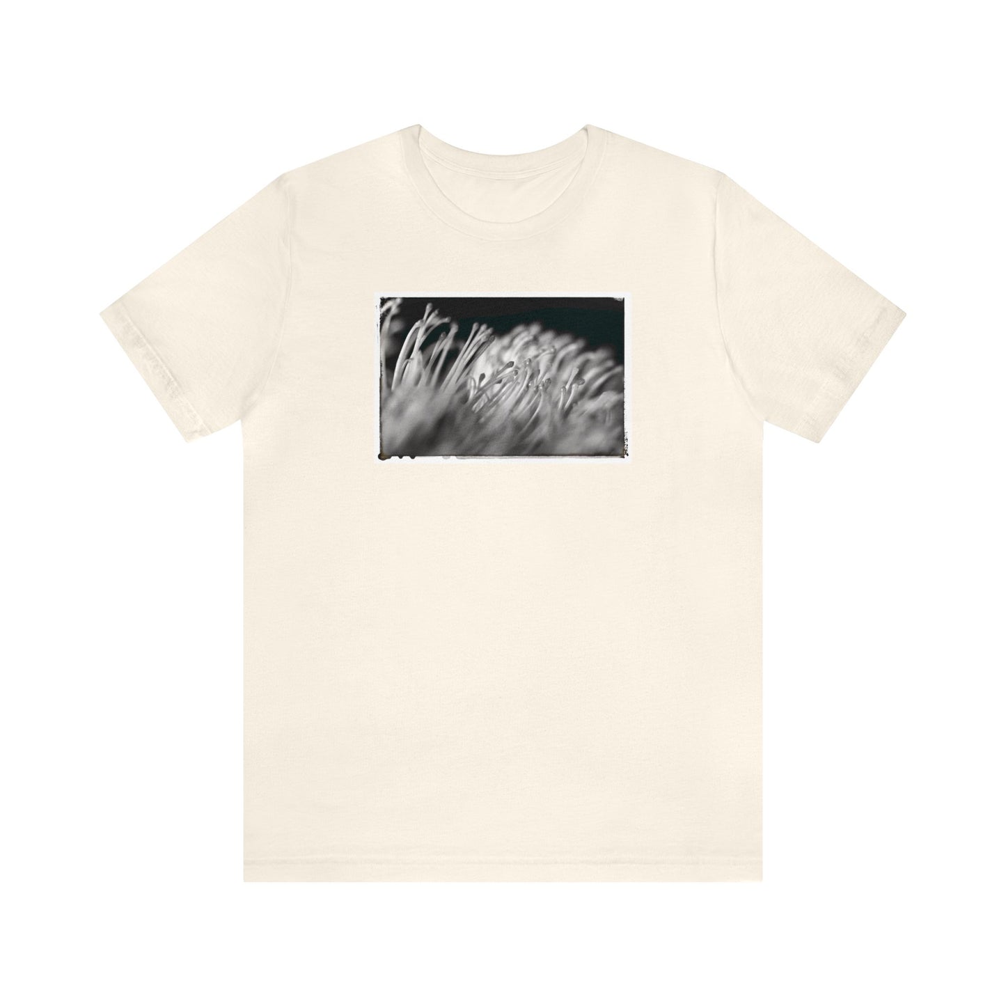 "Pincushion Protea No. 02 (B&W)" Unisex Jersey Short Sleeve Tee