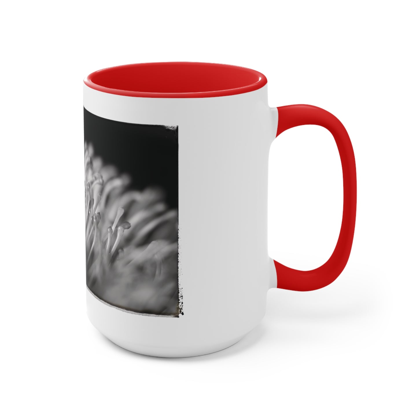 "Pincushion Protea No. 02 (B&W)" Accent Mug