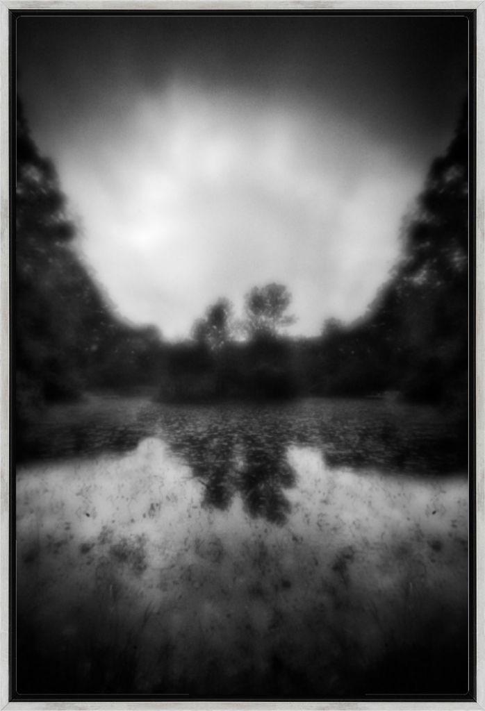 Pond at The Arboretum