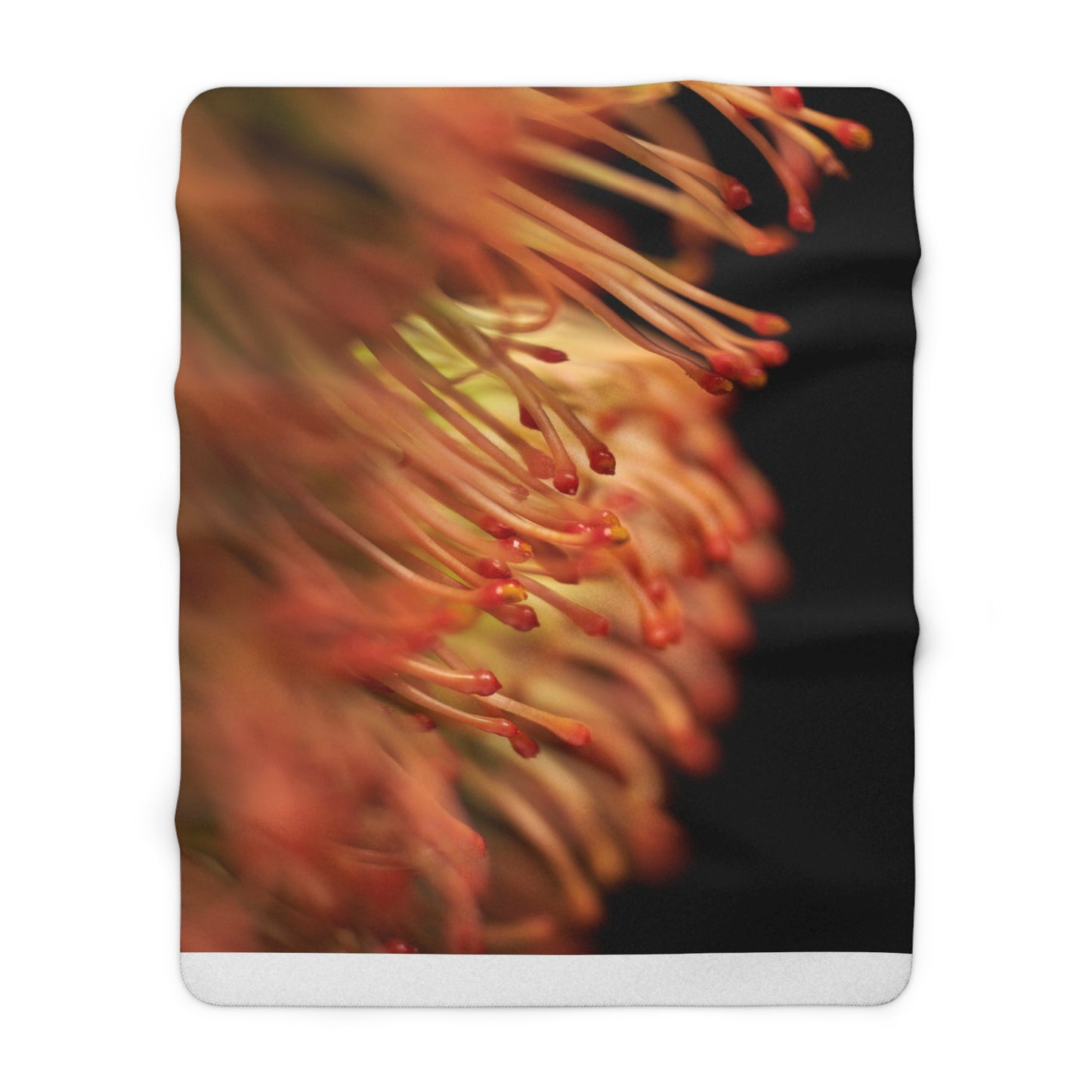 "Pincushion Protea No. 02" Sherpa Fleece Blanket