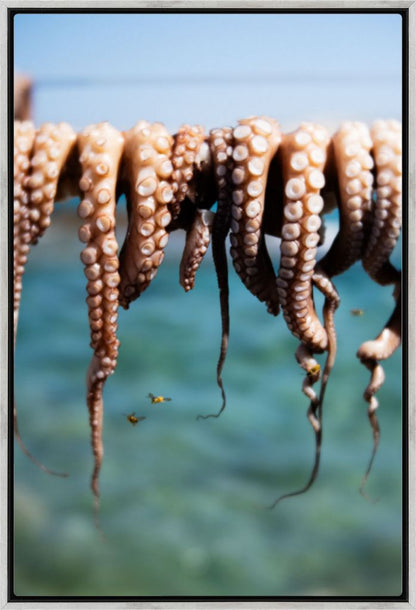 Wasps Feeding on Octopus