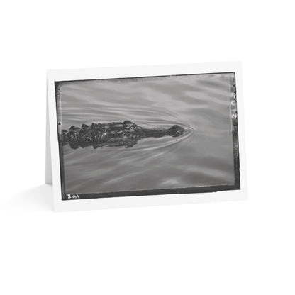 "Alligator No. 03" 5x7 Greeting Cards (10pcs)