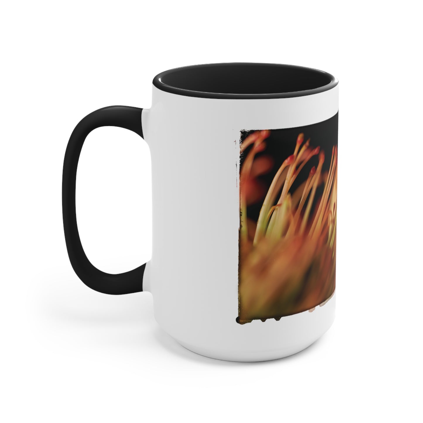 "Pincushion Protea No. 02" Accent Mug