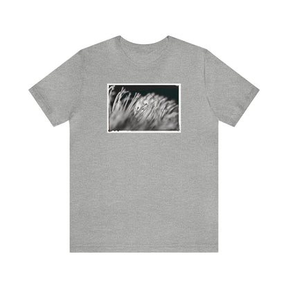 "Pincushion Protea No. 02 (B&W)" Unisex Jersey Short Sleeve Tee