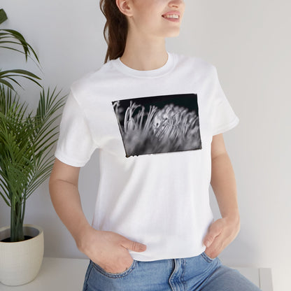 "Pincushion Protea No. 02 (B&W)" Unisex Jersey Short Sleeve Tee