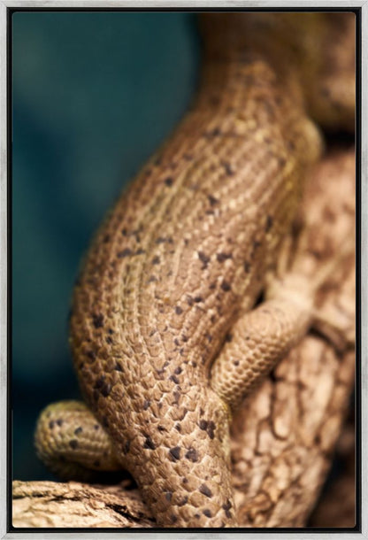 Reptile on a Branch