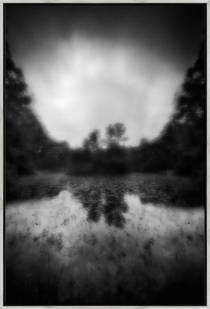 Pond at The Arboretum